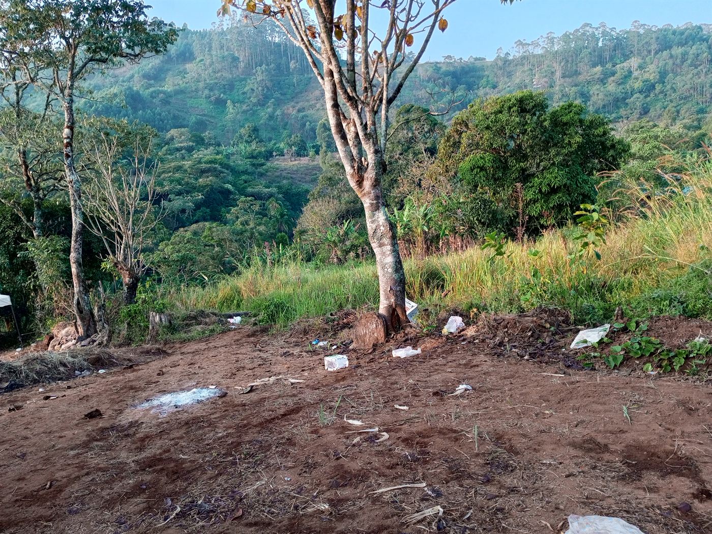 Vue du site de production de Bertoua